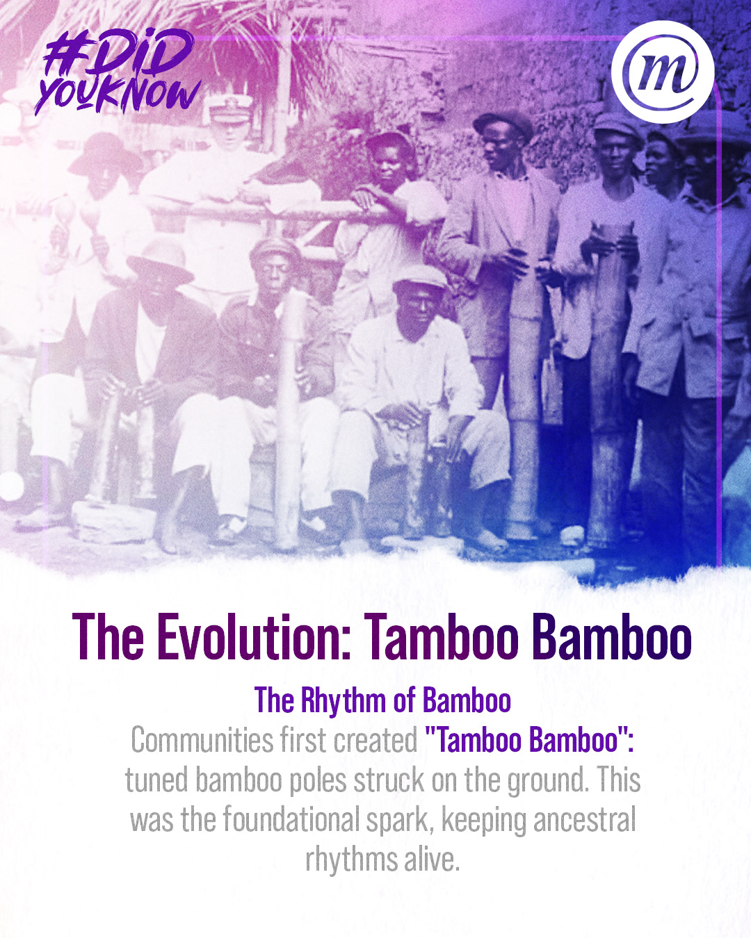 DYK CMS steelpan 3 #DidYouKnow The Evolution: Tamboo Bamboo The Rhythm of Bamboo Communities first created "Tamboo Bamboo": tuned bamboo poles struck on the ground. This was the foundational spark, keeping ancestral rhythms alive.